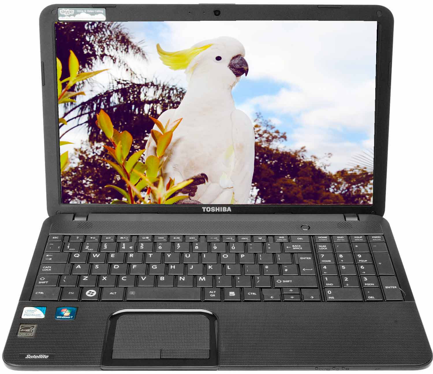 Toshiba Satellite C870-D7K