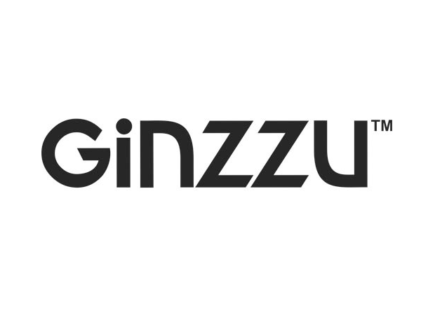 Ремонт телефонов Ginzzu