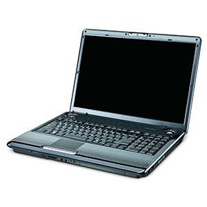 Toshiba P305D-S8828